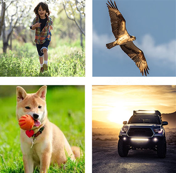 gps追蹤器應用 gps追蹤器應用